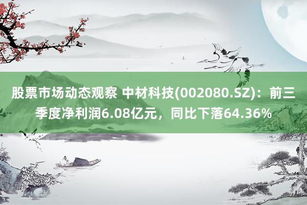 股票市场动态观察 中材科技(002080.SZ)：前三季度净利润6.08亿元，同比下落64.36%