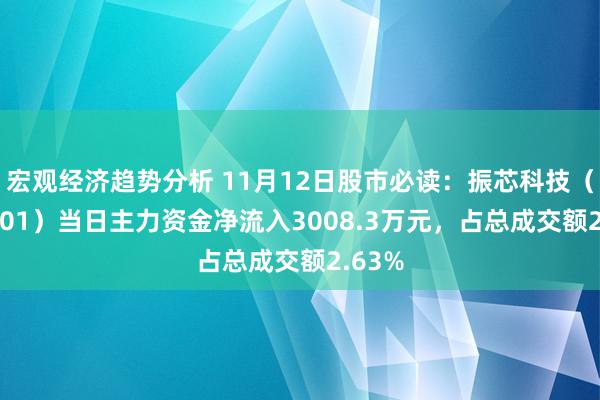 宏观经济趋势分析 11月12日股市必读：振芯科技（300101）当日主力资金净流入3008.3万元，占总成交额2.63%