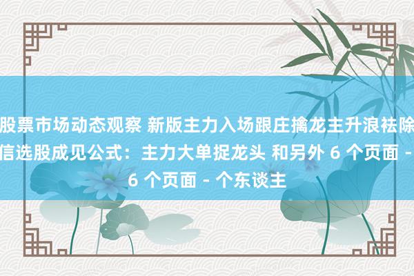 股票市场动态观察 新版主力入场跟庄擒龙主升浪袪除捉妖领路信选股成见公式：主力大单捉龙头 和另外 6 个页面 - 个东谈主