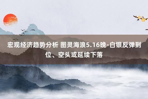 宏观经济趋势分析 图灵海浪5.16晚-白银反弹到位、空头或延续下落