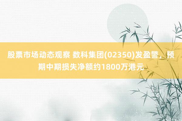 股票市场动态观察 数科集团(02350)发盈警，预期中期损失净额约1800万港元