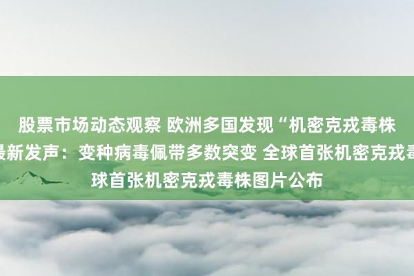 股票市场动态观察 欧洲多国发现“机密克戎毒株”！钟南山最新发声：变种病毒佩带多数突变 全球首张机密克戎毒株图片公布