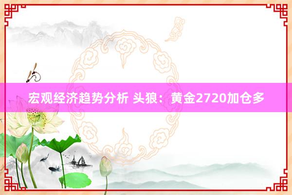 宏观经济趋势分析 头狼：黄金2720加仓多