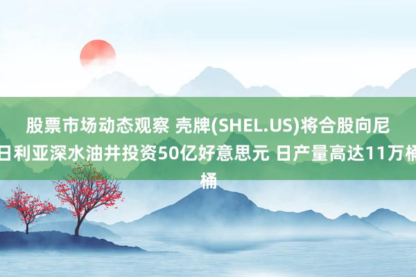 股票市场动态观察 壳牌(SHEL.US)将合股向尼日利亚深水油井投资50亿好意思元 日产量高达11万桶