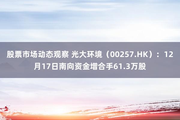 股票市场动态观察 光大环境（00257.HK）：12月17日南向资金增合手61.3万股