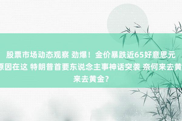 股票市场动态观察 劲爆！金价暴跌近65好意思元的原因在这 特朗普首要东说念主事神话突袭 奈何来去黄金？