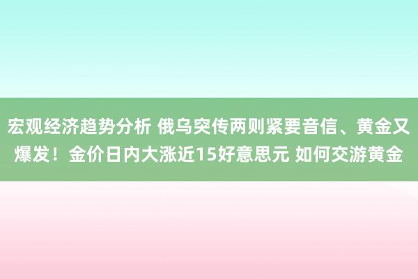 宏观经济趋势分析 俄乌突传两则紧要音信、黄金又爆发！金价日内大涨近15好意思元 如何交游黄金