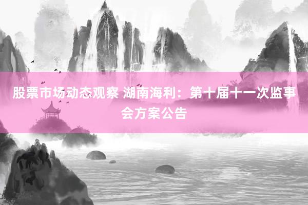 股票市场动态观察 湖南海利：第十届十一次监事会方案公告