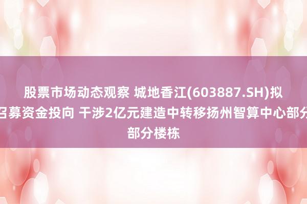 股票市场动态观察 城地香江(603887.SH)拟变更召募资金投向 干涉2亿元建造中转移扬州智算中心部分楼栋