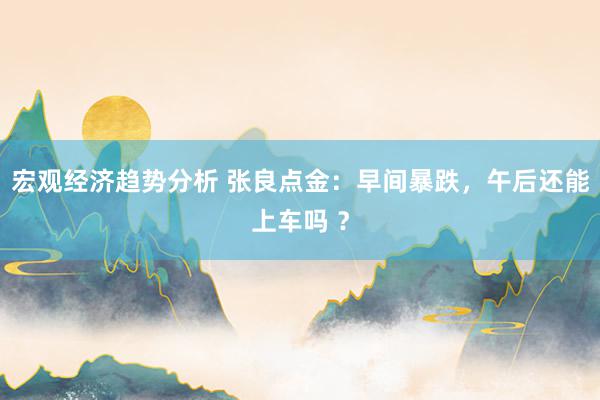 宏观经济趋势分析 张良点金：早间暴跌，午后还能上车吗 ？