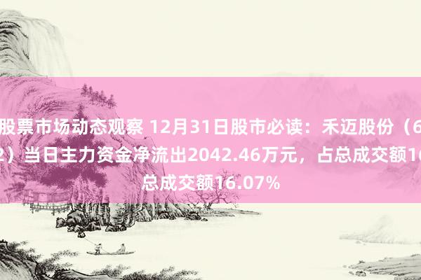 股票市场动态观察 12月31日股市必读：禾迈股份（688032）当日主力资金净流出2042.46万元，占总成交额16.07%