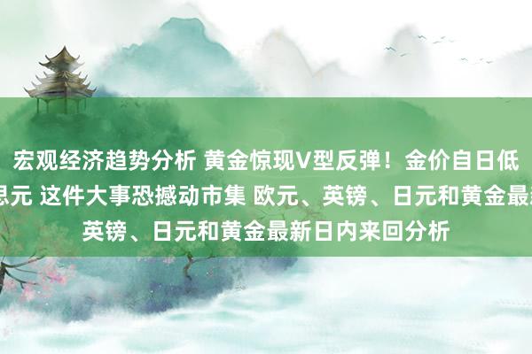 宏观经济趋势分析 黄金惊现V型反弹！金价自日低大涨逾20好意思元 这件大事恐撼动市集 欧元、英镑、日元和黄金最新日内来回分析