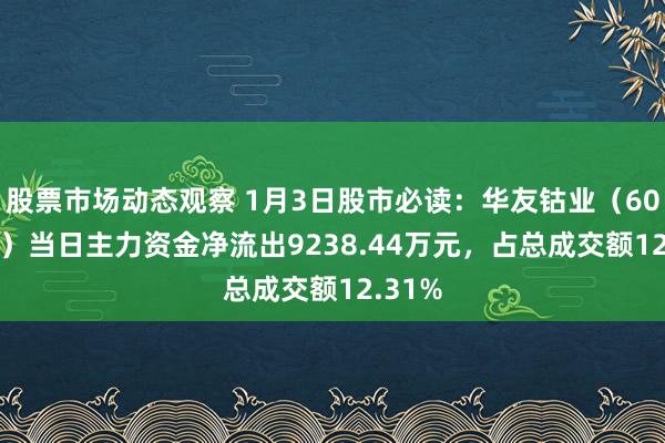 股票市场动态观察 1月3日股市必读：华友钴业（603799）当日主力资金净流出9238.44万元，占总成交额12.31%