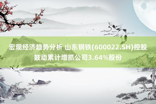 宏观经济趋势分析 山东钢铁(600022.SH)控股鼓动累计增抓公司3.64%股份