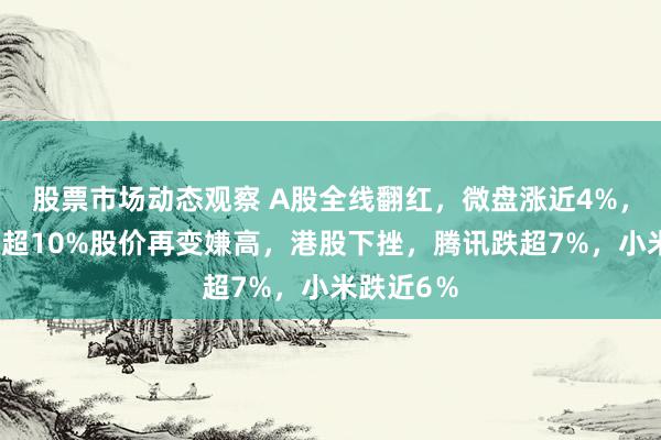 股票市场动态观察 A股全线翻红，微盘涨近4%，寒武纪涨超10%股价再变嫌高，港股下挫，腾讯跌超7%，小米跌近6％