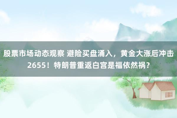 股票市场动态观察 避险买盘涌入，黄金大涨后冲击2655！特朗普重返白宫是福依然祸？