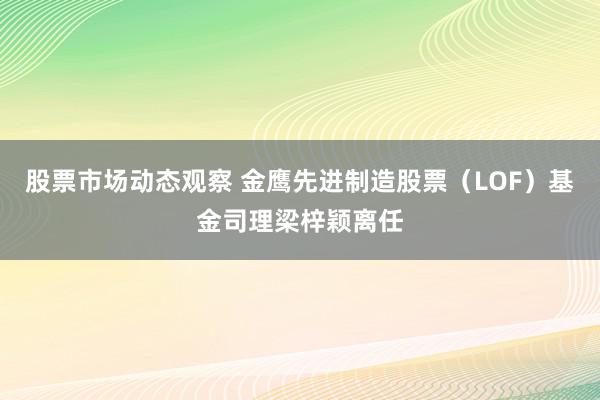 股票市场动态观察 金鹰先进制造股票（LOF）基金司理梁梓颖离任