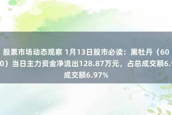 股票市场动态观察 1月13日股市必读：黑牡丹（600510）当日主力资金净流出128.87万元，占总成交额6.97%