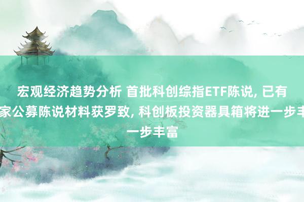 宏观经济趋势分析 首批科创综指ETF陈说, 已有12家公募陈说材料获罗致, 科创板投资器具箱将进一步丰富