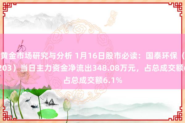 黄金市场研究与分析 1月16日股市必读：国泰环保（301203）当日主力资金净流出348.08万元，占总成交额6.1%