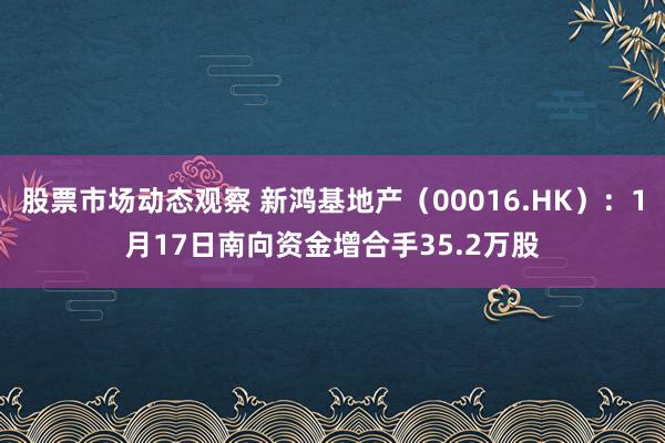 股票市场动态观察 新鸿基地产（00016.HK）：1月17日南向资金增合手35.2万股