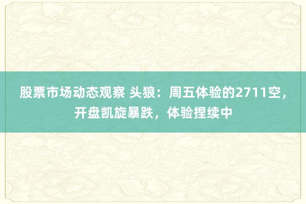 股票市场动态观察 头狼：周五体验的2711空，开盘凯旋暴跌，体验捏续中