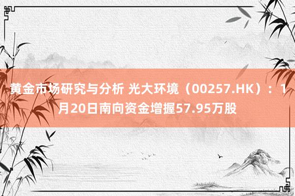 黄金市场研究与分析 光大环境（00257.HK）：1月20日南向资金增握57.95万股