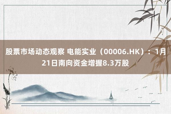 股票市场动态观察 电能实业（00006.HK）：1月21日南向资金增握8.3万股