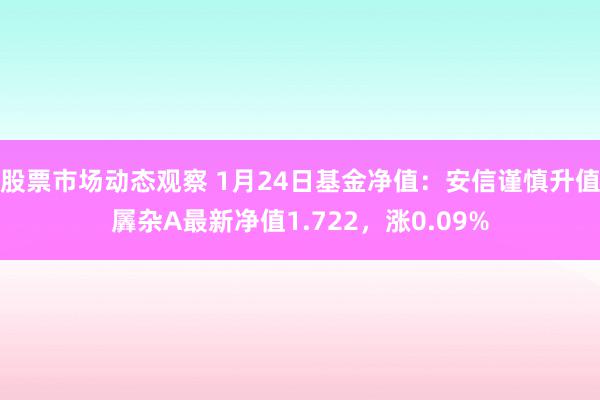 股票市场动态观察 1月24日基金净值：安信谨慎升值羼杂A最新净值1.722，涨0.09%