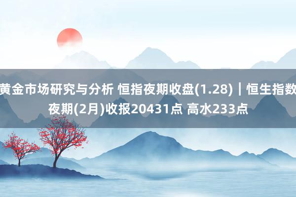 黄金市场研究与分析 恒指夜期收盘(1.28)︱恒生指数夜期(2月)收报20431点 高水233点