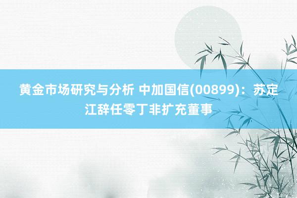 黄金市场研究与分析 中加国信(00899)：苏定江辞任零丁非扩充董事