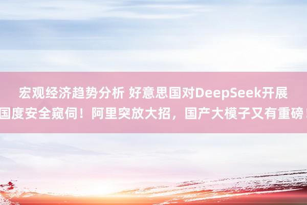 宏观经济趋势分析 好意思国对DeepSeek开展国度安全窥伺！阿里突放大招，国产大模子又有重磅！