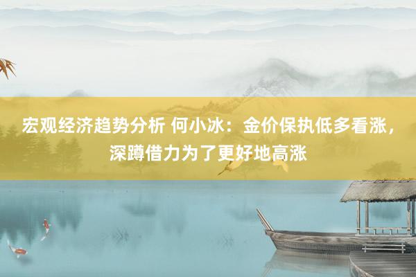 宏观经济趋势分析 何小冰：金价保执低多看涨，深蹲借力为了更好地高涨