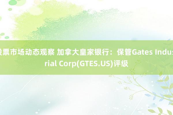 股票市场动态观察 加拿大皇家银行：保管Gates Industrial Corp(GTES.US)评级