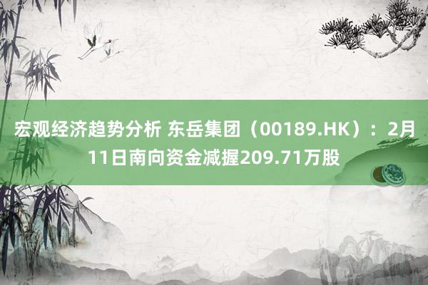 宏观经济趋势分析 东岳集团（00189.HK）：2月11日南向资金减握209.71万股