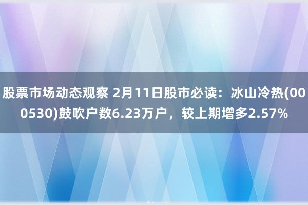 股票市场动态观察 2月11日股市必读：冰山冷热(000530)鼓吹户数6.23万户，较上期增多2.57%