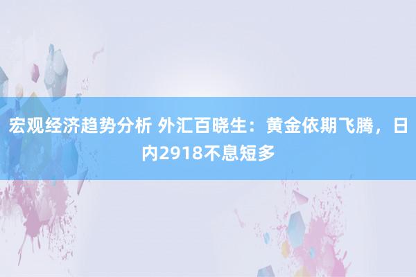 宏观经济趋势分析 外汇百晓生：黄金依期飞腾，日内2918不息短多