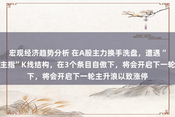 宏观经济趋势分析 在A股主力换手洗盘，遭遇“涨停进取仙东谈主指”K线结构，在3个条目自傲下，将会开启下一轮主升浪以致涨停