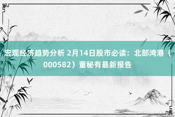 宏观经济趋势分析 2月14日股市必读：北部湾港（000582）董秘有最新报告