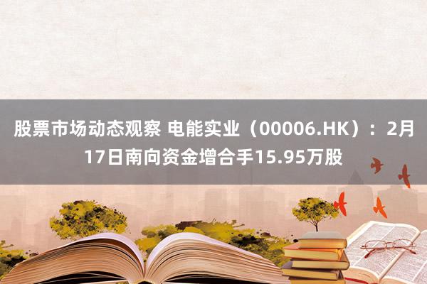 股票市场动态观察 电能实业（00006.HK）：2月17日南向资金增合手15.95万股