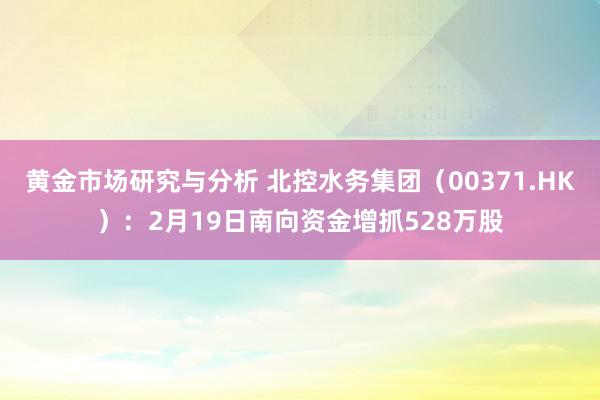 黄金市场研究与分析 北控水务集团（00371.HK）：2月19日南向资金增抓528万股