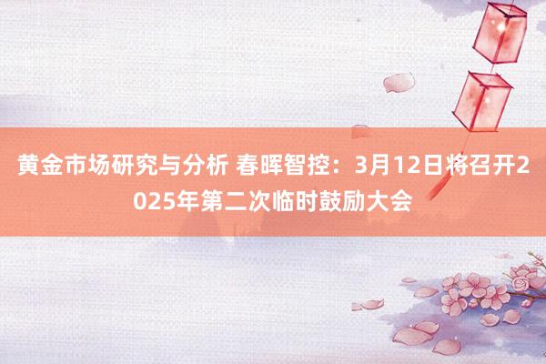 黄金市场研究与分析 春晖智控：3月12日将召开2025年第二次临时鼓励大会