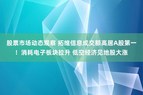 股票市场动态观察 拓维信息成交额高居A股第一！消耗电子板块拉升 低空经济见地股大涨