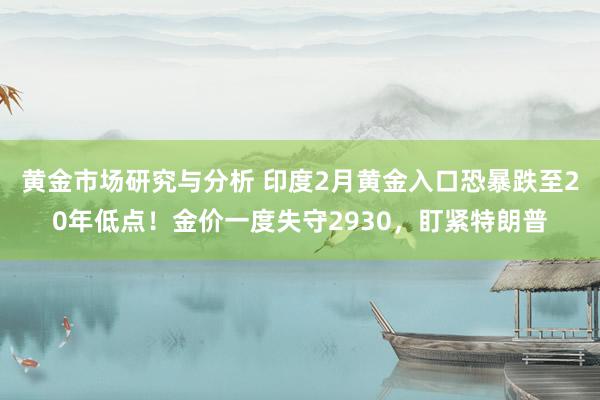 黄金市场研究与分析 印度2月黄金入口恐暴跌至20年低点！金价一度失守2930，盯紧特朗普