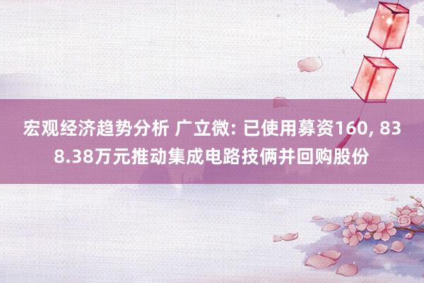 宏观经济趋势分析 广立微: 已使用募资160, 838.38万元推动集成电路技俩并回购股份