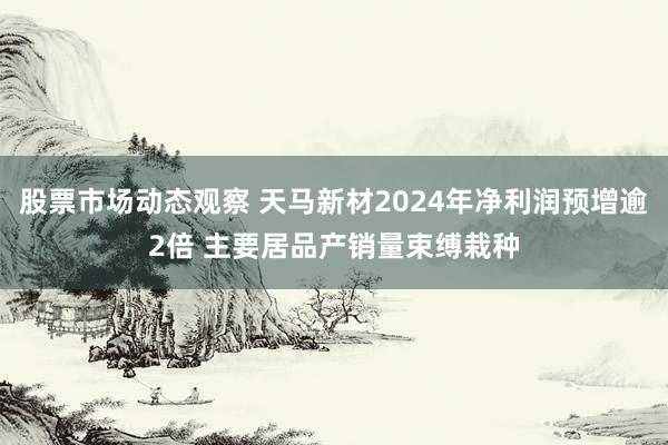 股票市场动态观察 天马新材2024年净利润预增逾2倍 主要居品产销量束缚栽种