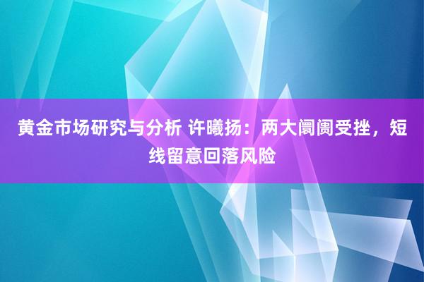 黄金市场研究与分析 许曦扬：两大阛阓受挫，短线留意回落风险