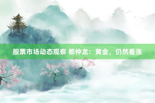 股票市场动态观察 都仲龙：黄金，仍然看涨