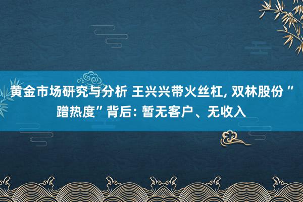 黄金市场研究与分析 王兴兴带火丝杠, 双林股份“蹭热度”背后: 暂无客户、无收入