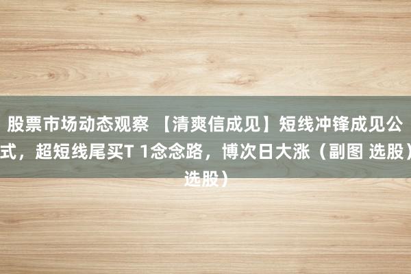 股票市场动态观察 【清爽信成见】短线冲锋成见公式，超短线尾买T 1念念路，博次日大涨（副图 选股）